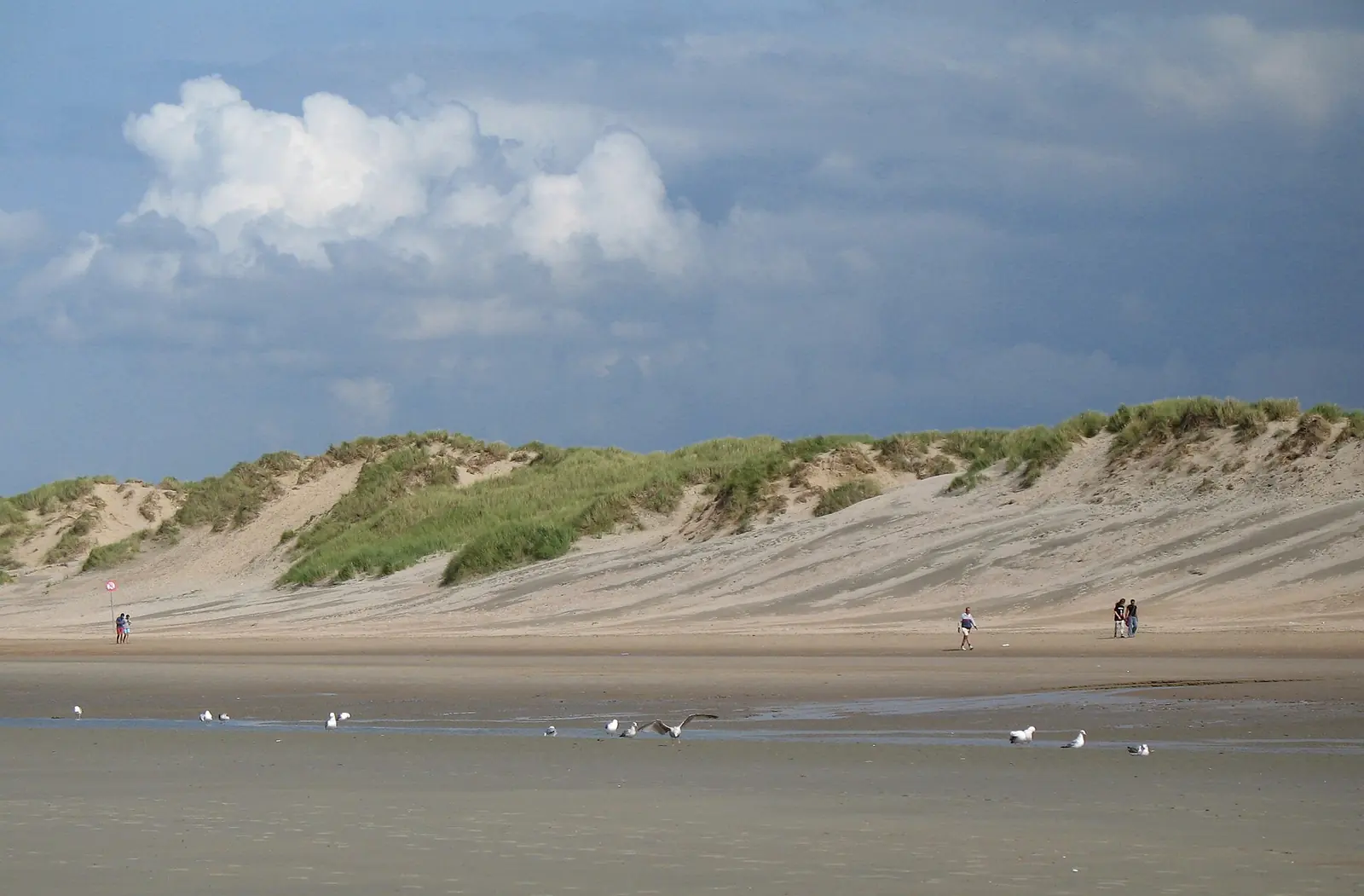 Koksijde Duin 02
